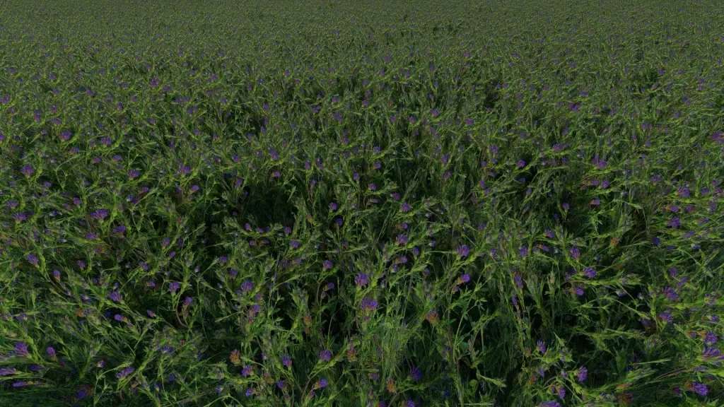 FS 22 – Clover and Alfalfa Texture V1.0.0.1 Modu