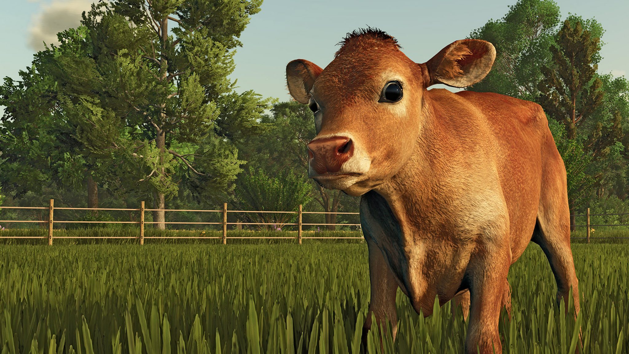 Farming Simulator 25: Hayvancılık Değişiklikleri