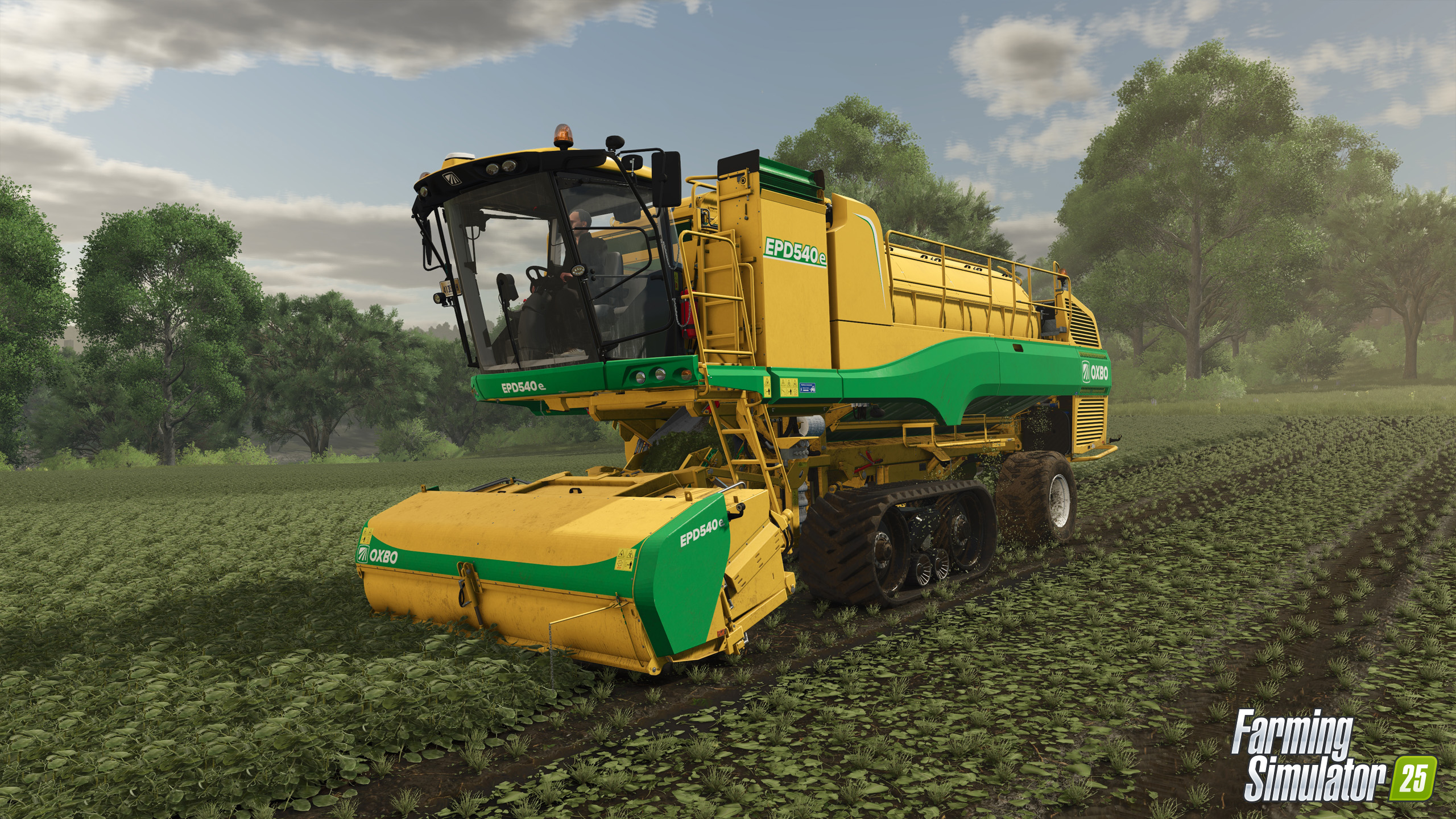 Farming Simulator 25: Bezelye Hasadı Ne Zaman ve Nasıl Yapılır?